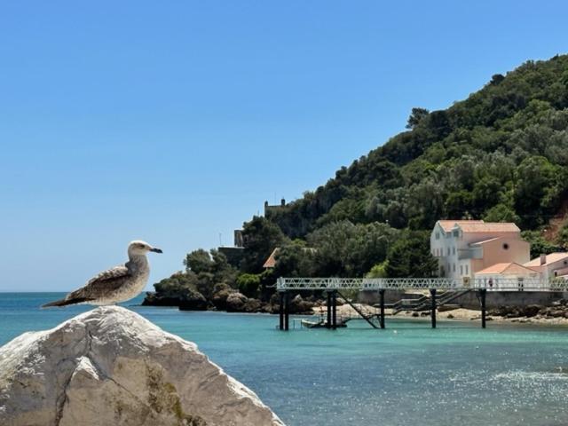 Casa Jasmim Villa Azeitao Dış mekan fotoğraf